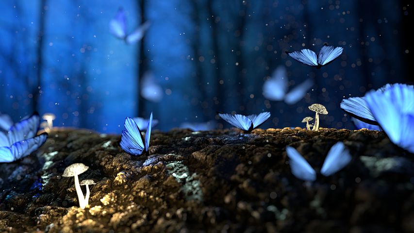 Blue butterflies on tree bark and mushrooms glowing against the tree bark, blue sky background.